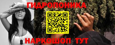 прущие грибы Можга