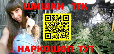 прущие грибы Можга