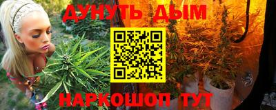 прущие грибы Можга