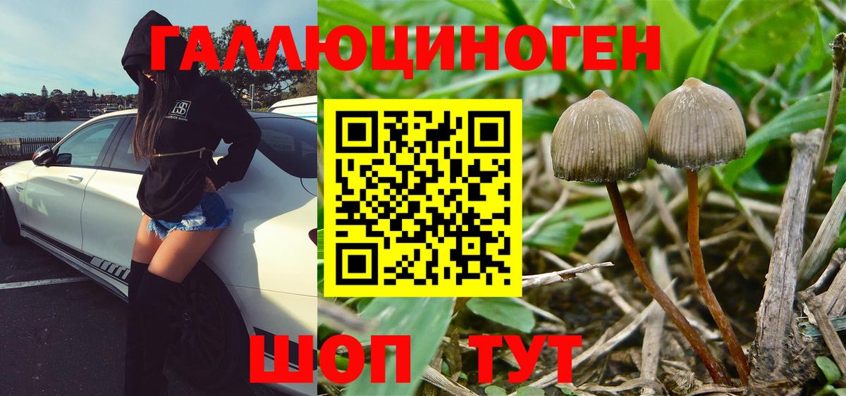 Верхний Уфалей  наркота  Вход с VPN  Галлюциногенные грибы Psilocybe  Псилоцибиновые грибы ЛСД 